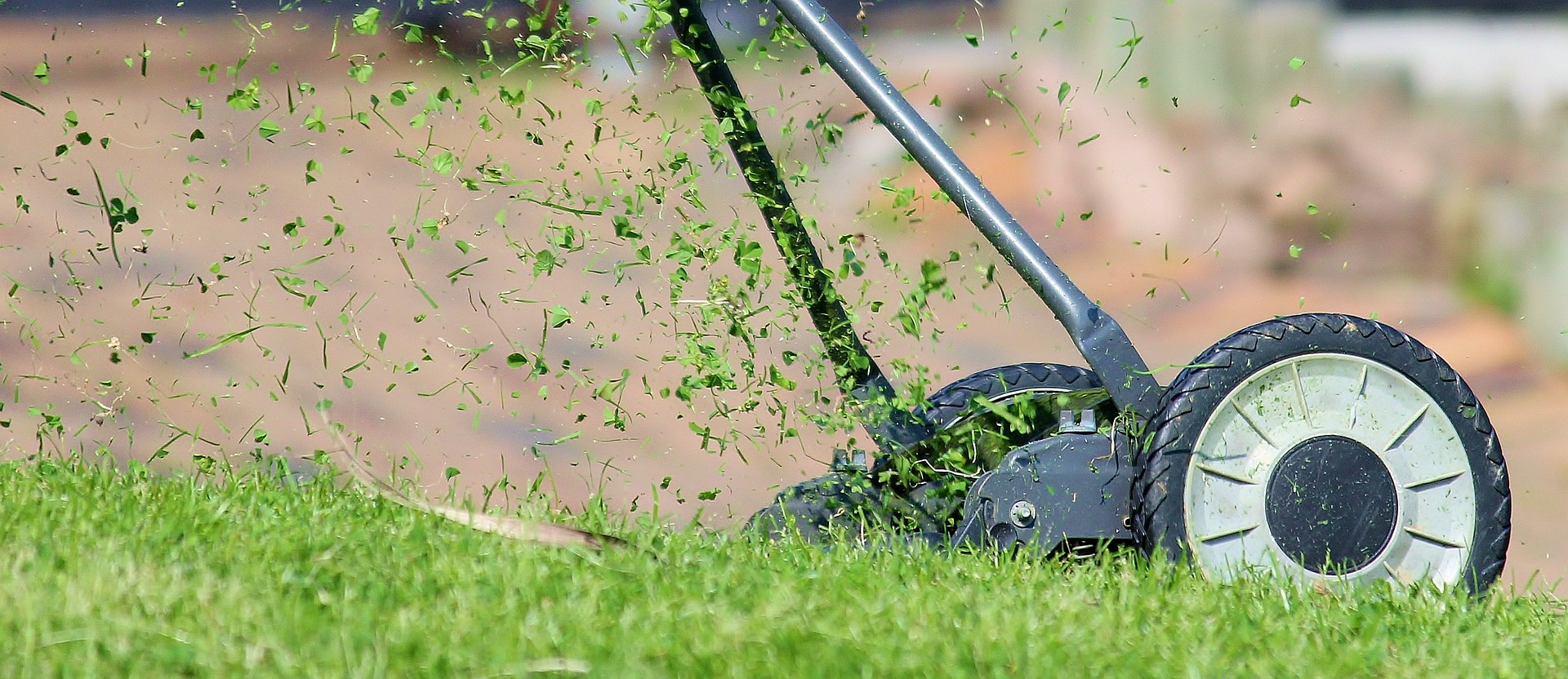 lawn mover cutting grass