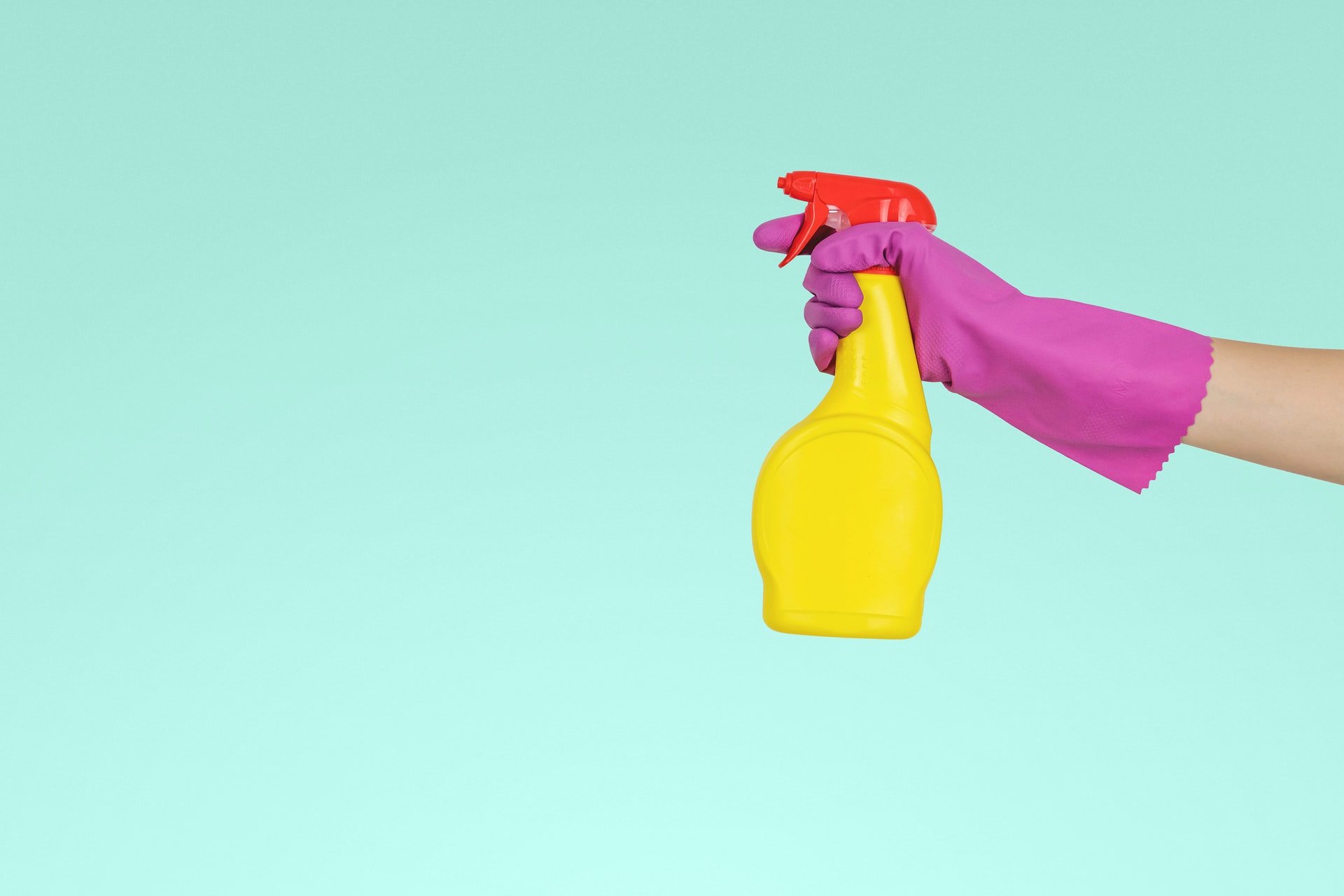 Person holing spray bottle for cleaning