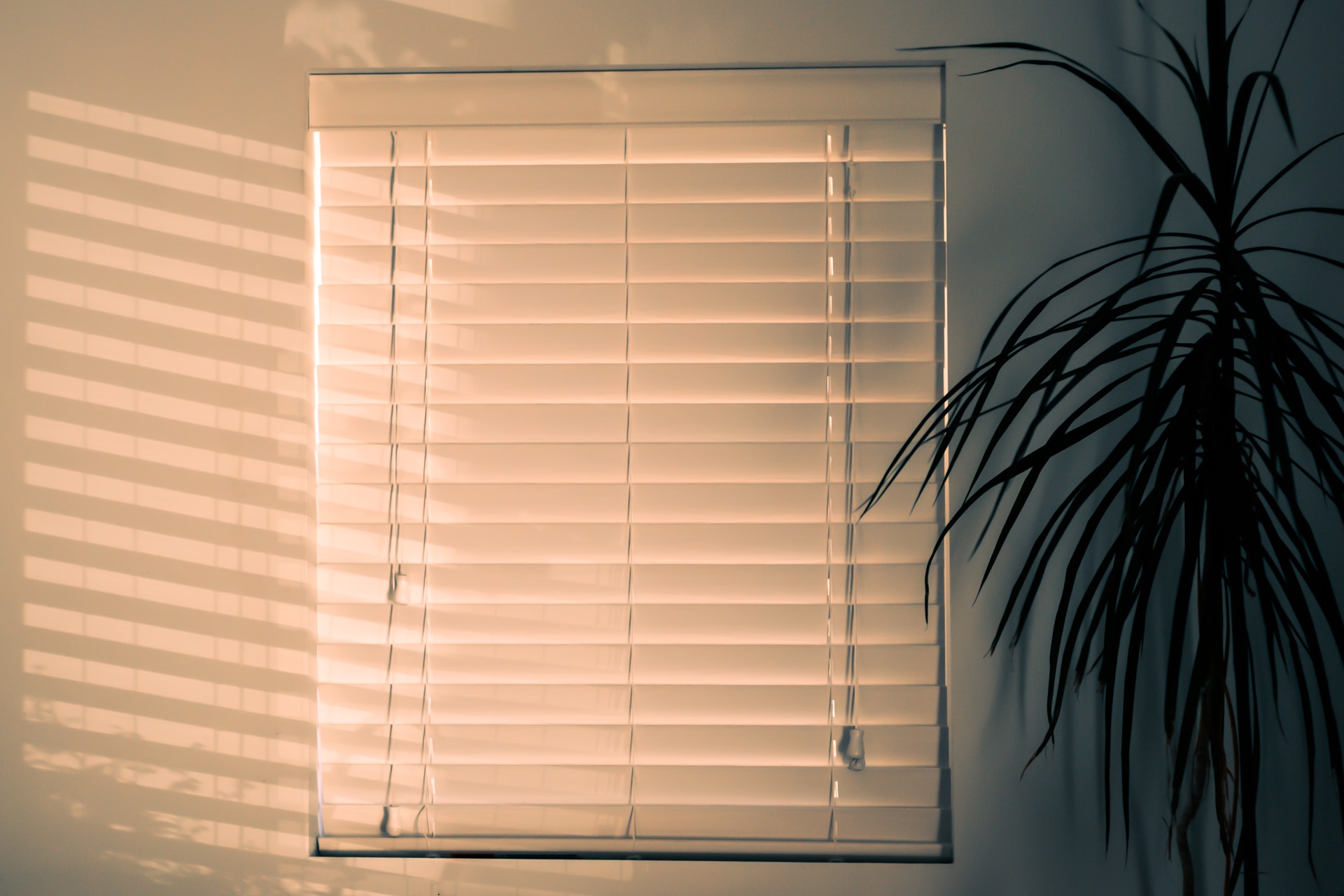 Clean Window Blinds