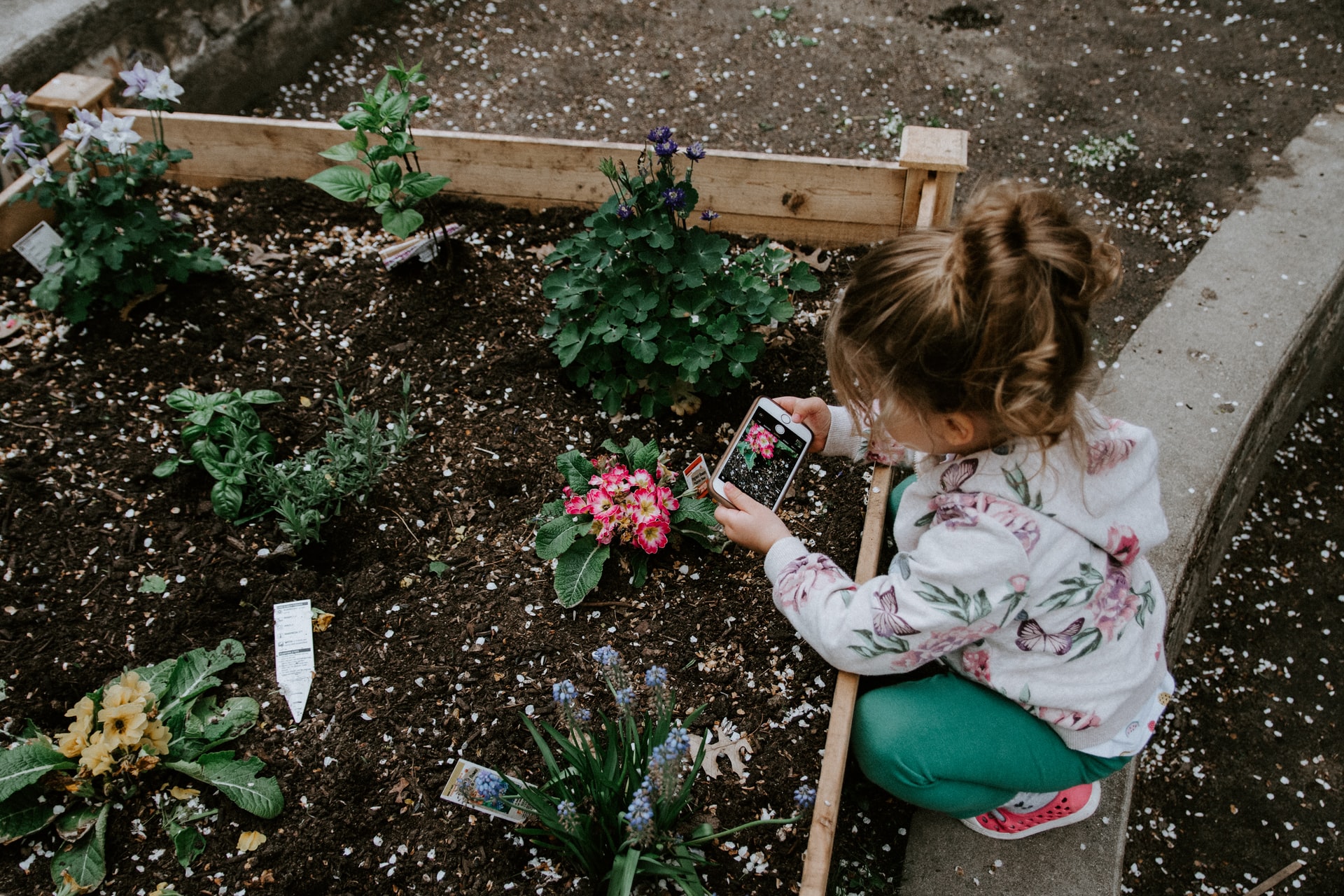 Gardening with kid