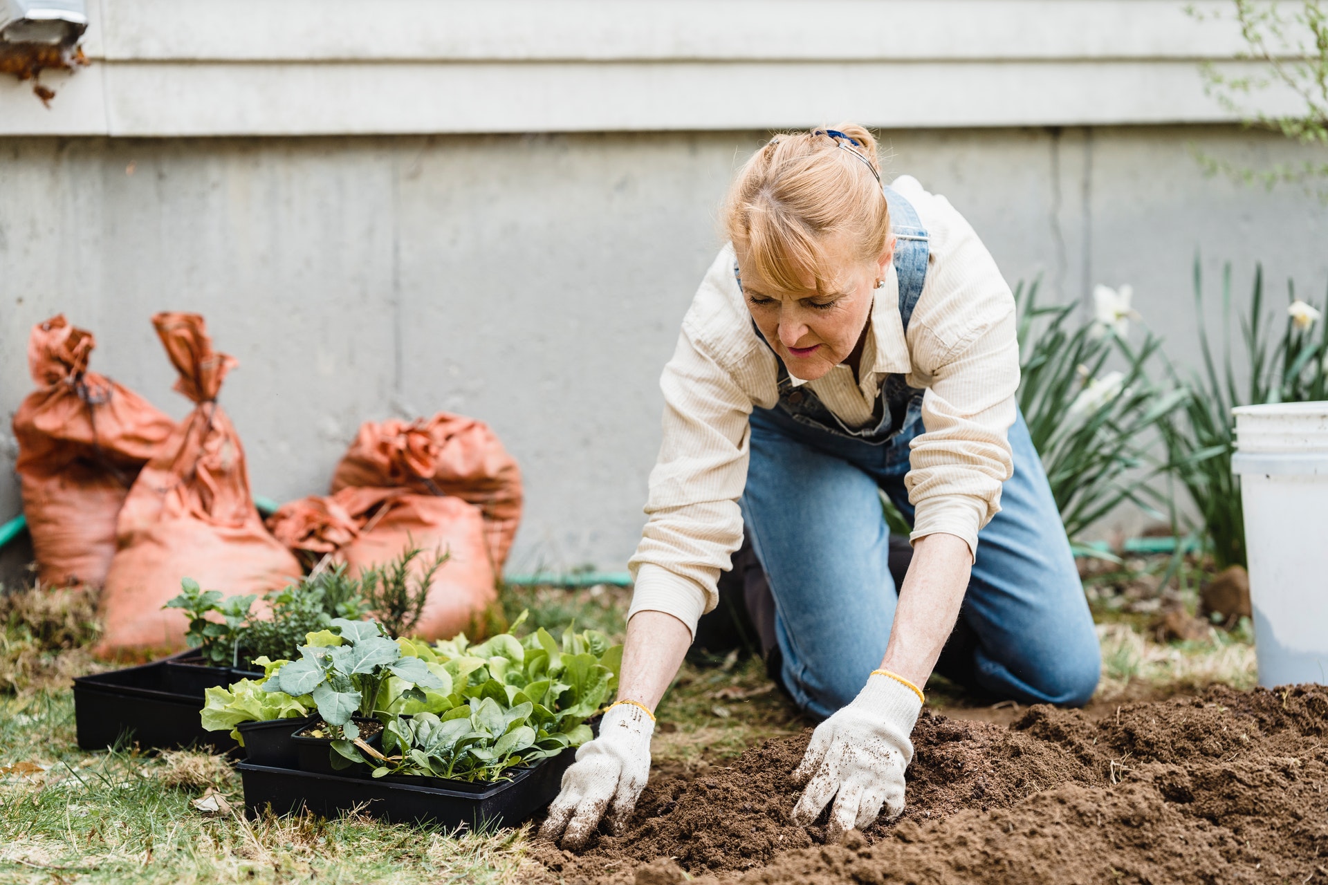 woman planting in the garden