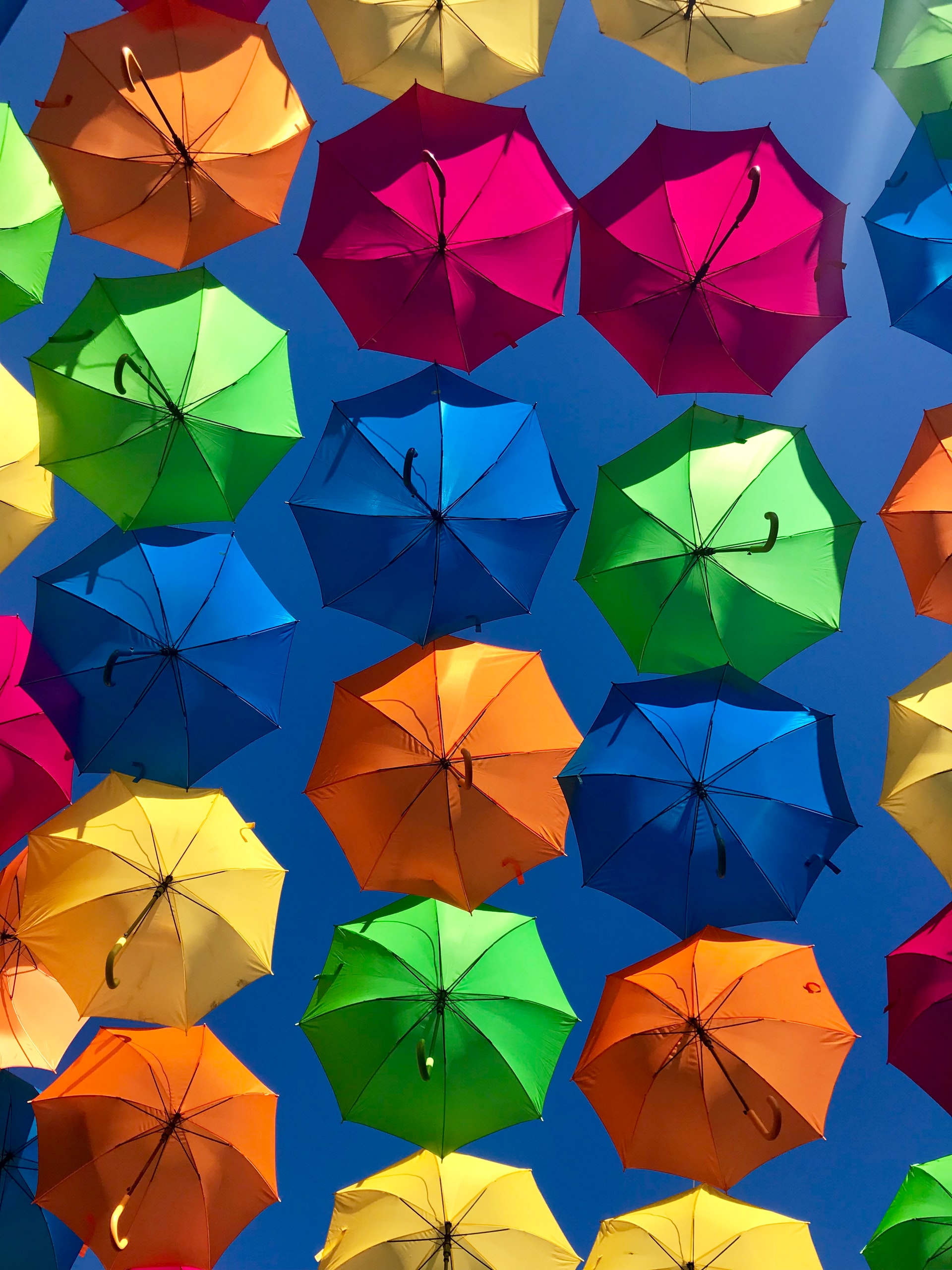 Beautiful Colorful Umbrella